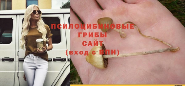 меф Чекалин