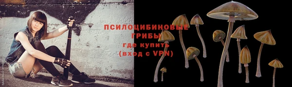 меф Ладушкин