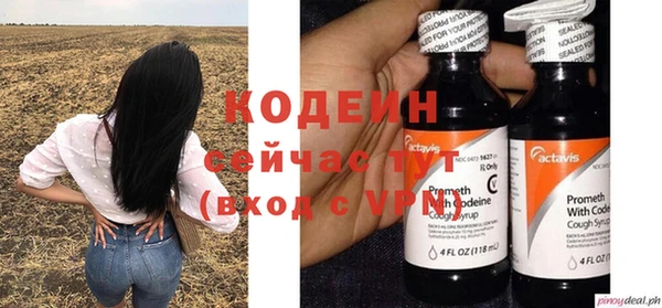 стафф Вяземский