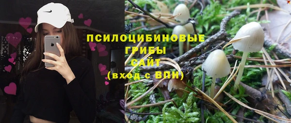 стафф Вяземский