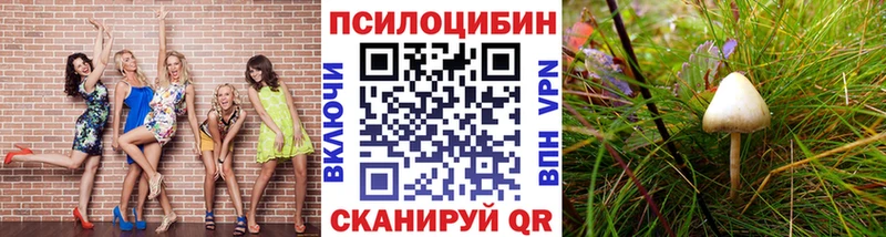 Галлюциногенные грибы Cubensis  что такое   Можайск 