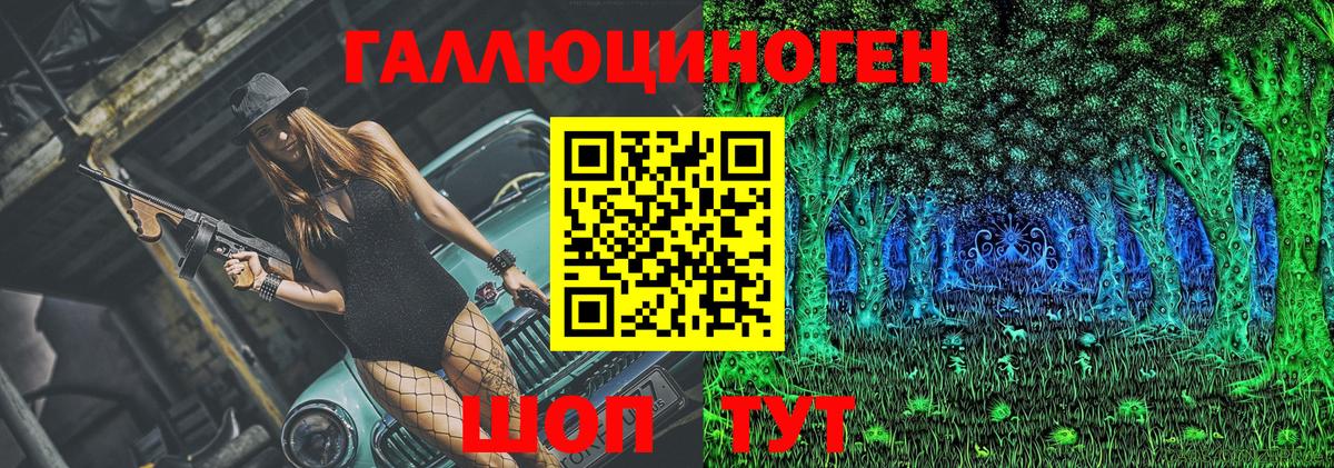 Псилоцибиновые грибы Psilocybine cubensis Можайск