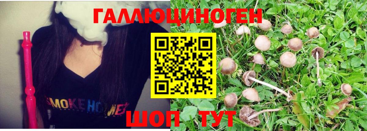 Псилоцибиновые грибы GOLDEN TEACHER Можайск